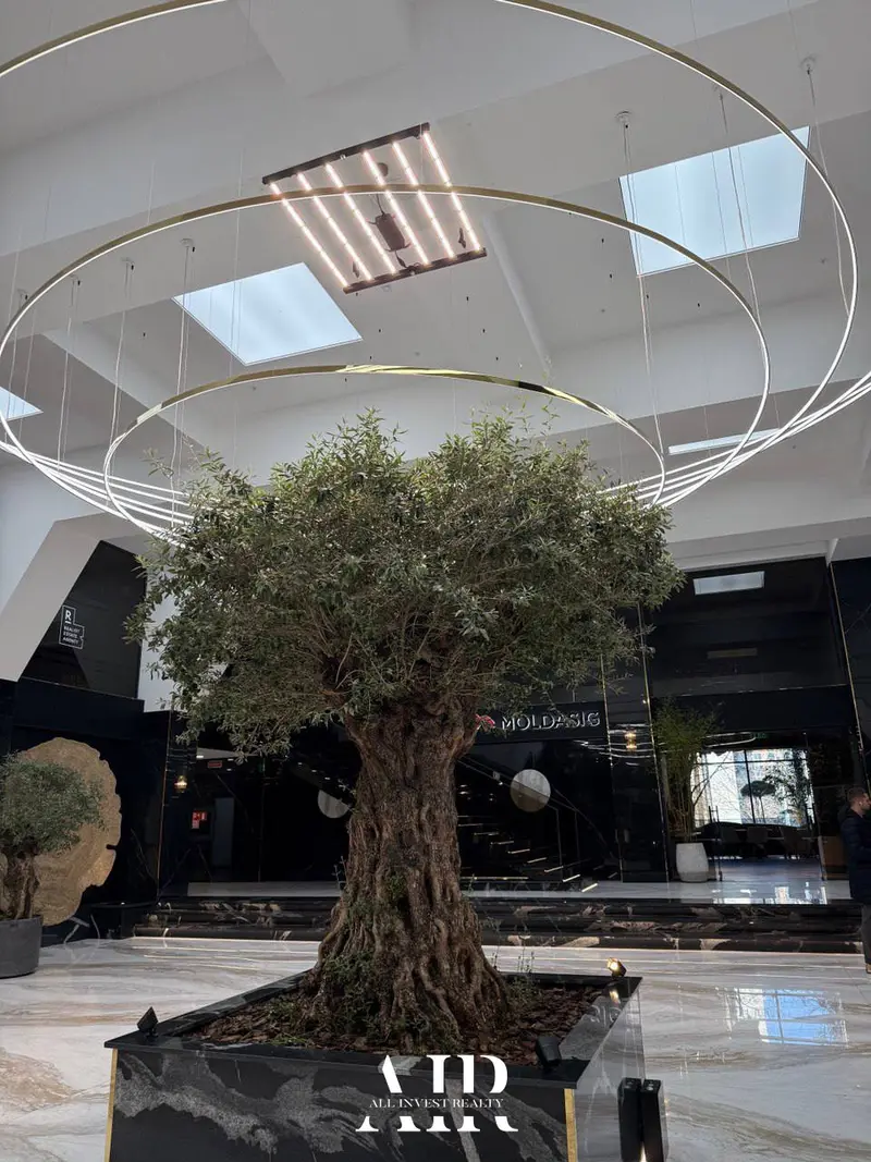 Oficiu în chirie, 120 m², Centru