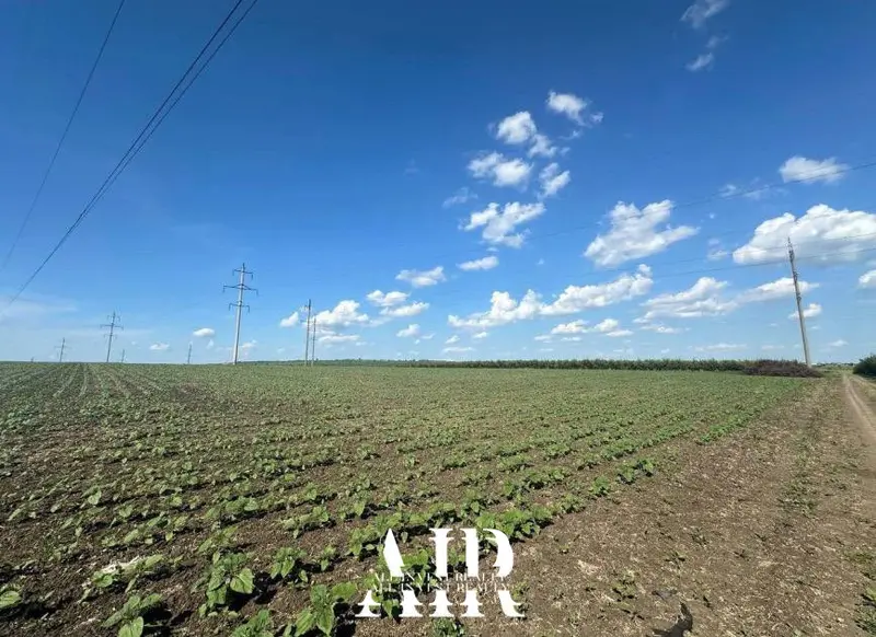 Agricultural land for sale, 470 ares, Băcioi