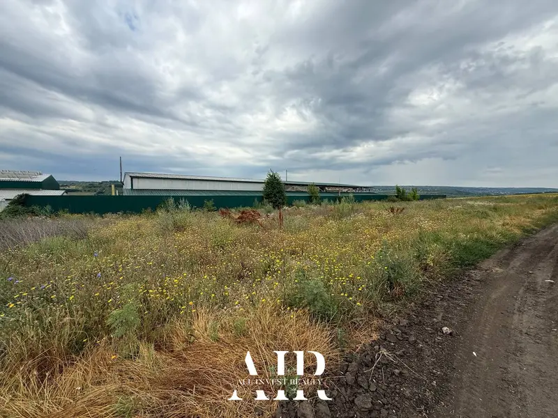 Agricultural land for sale, 29 ares, Trușeni